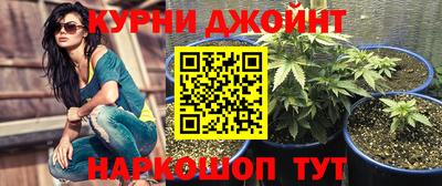 индика Комсомольск-на-Амуре