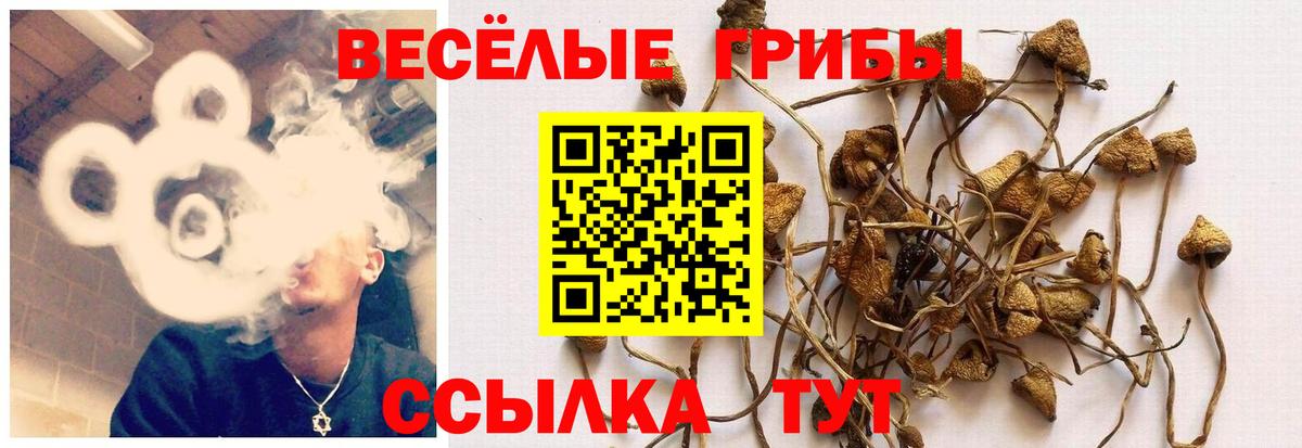 Галлюциногенные грибы Magic Shrooms  Псилоцибиновые грибы Psilocybe  Донецк  Вход с VPN 
